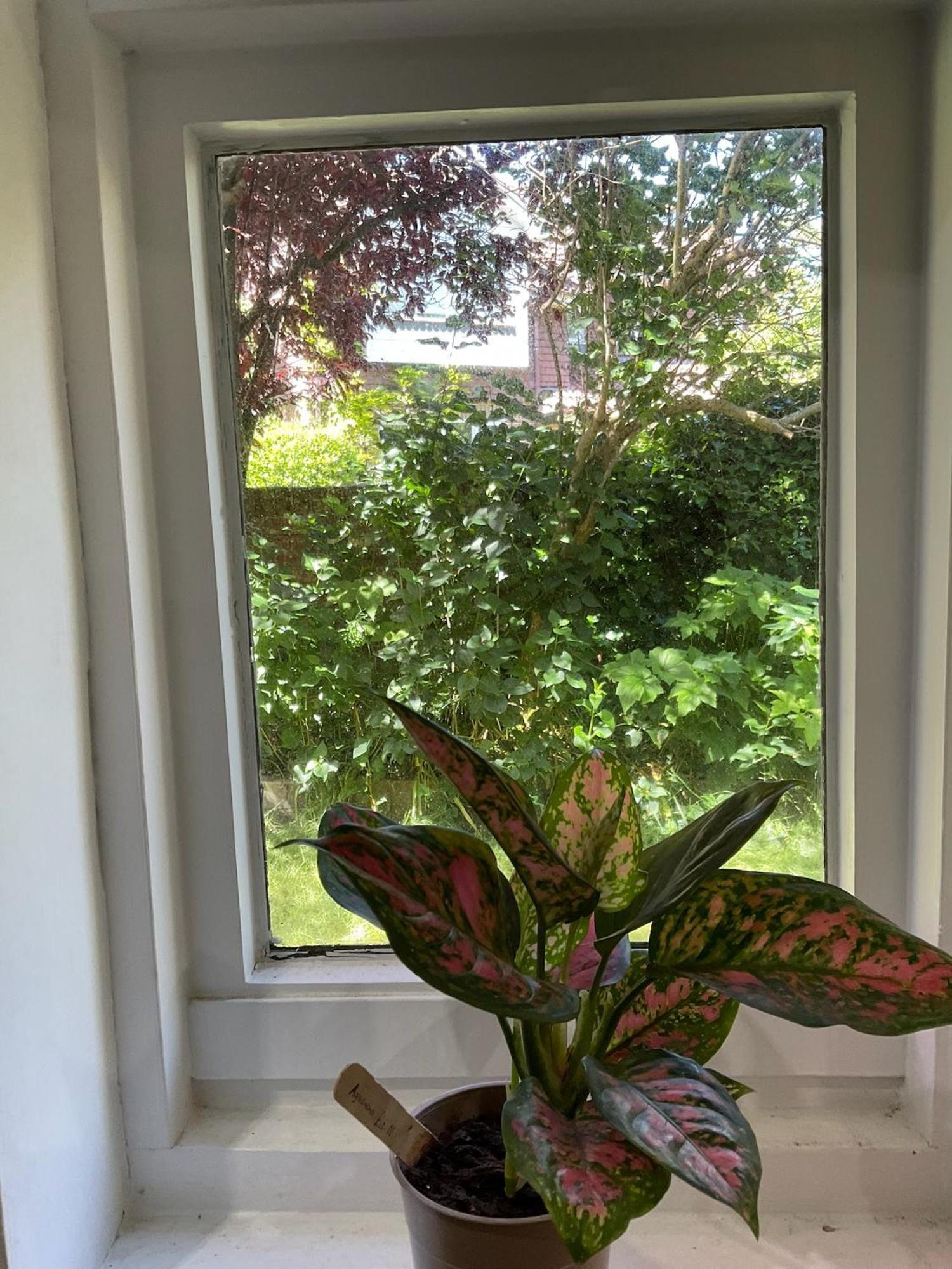 Lewes Garden Room - Free Parking מראה חיצוני תמונה